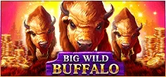 Ronycasino_BigWildBuffalo